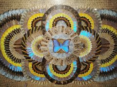 -上海昆虫博物馆