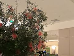 -老吉堂上海本帮菜(望京万象汇店)