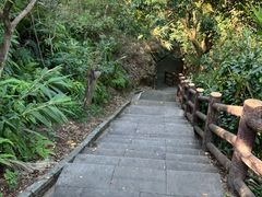 -羚羊峡古栈道森林公园