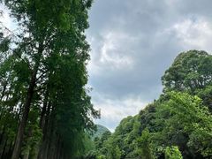 -青城山