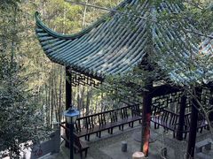 -长沙黑麋峰国家森林公园