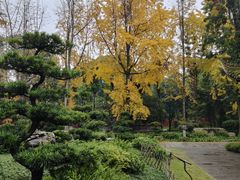 -宝光寺