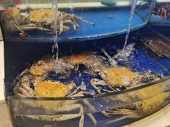 -海景壹号大酒店(滨湖店)