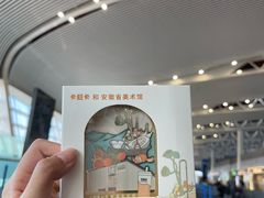 -合肥新桥国际机场-航站楼