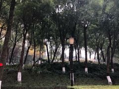 -重庆市江北嘴中央商务区中央公园