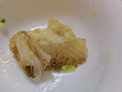 -金砂阿洲鱼册店