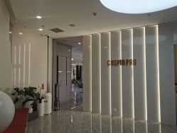 -COSMO PRO造型