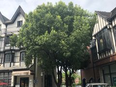 -钟书阁(松江泰晤士小镇店)