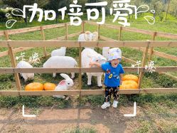 -优沃得自然教育农场·冰雪乐园·生日会·研学
