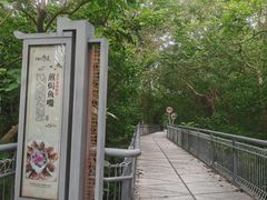 -佛山华盖山公园