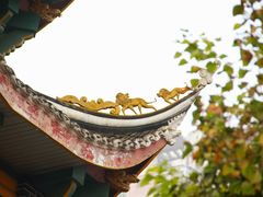 -四川大学(华西校区)