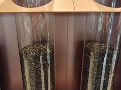 -喜茶(合肥中环城店)