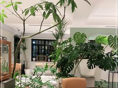 -一尺花园(安和花园店)