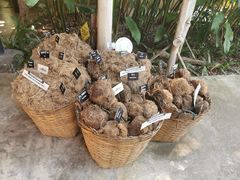 -大象粑粑造纸公园