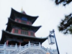 -迎泽公园