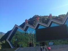 -牛背梁国家森林公园