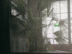 -沼津港精致料理·寿喜烧·烧鸟(龙湖南桥天街日料榜单店)
