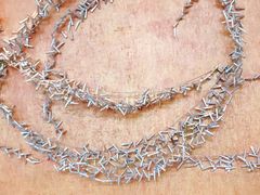 -上海浦东嘉里大酒店