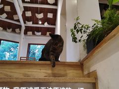 -猫的天空之城概念书店(苏州平江店)