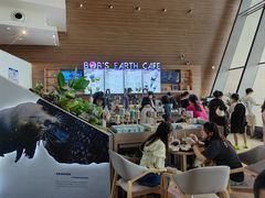 -抱抱地球咖啡馆(国家海洋博物馆店)