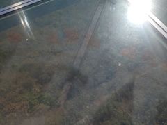 -帽儿山风景区