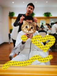 -THE LOG SALON 记录