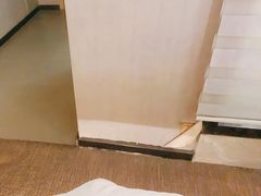 -麗枫酒店(长沙步行街南门口地铁站店)