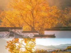 -塔川景区