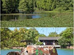-尚湖风景区