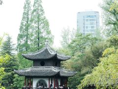 -水绘园