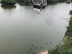 -广州长隆野生动物世界