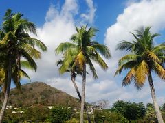 -三亚南山文化旅游区