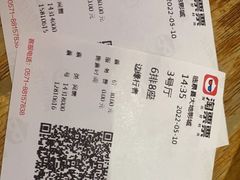 -临泉大地影城(大润发店)