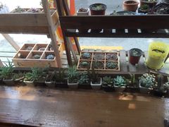 -长颈鹿咖啡(大学路店)