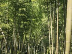 -梅岭神龙潭