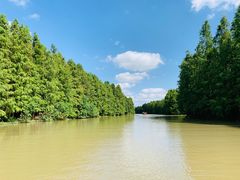 -上海海湾国家森林公园