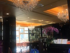 -香港华丽都会酒店