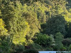-深圳仙湖植物园