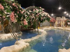 -中铁花水湾温泉酒店(大邑店)