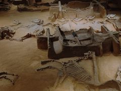 -洛阳周王城天子驾六博物馆