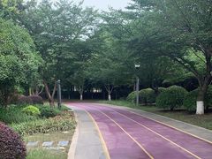 -尚贤河湿地