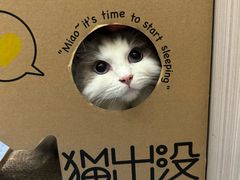 -佑安动物医院·全科·内窥镜中心(幸福巷店)