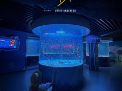-海合安成都极地海洋公园