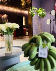 -花隐·美芙炫海菲秀皮肤管理中心