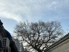 -春风习习