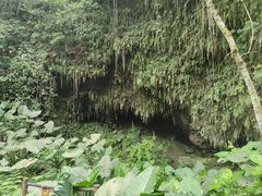 -海口火山口国家地质公园