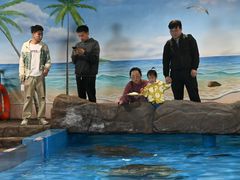 -芜湖新华联大白鲸海洋公园