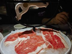 -无界釜·河豚鱼汤锅(红山动物园店)