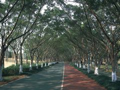 -南宁花花大世界景区