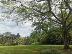 -中国科学院西双版纳热带植物园